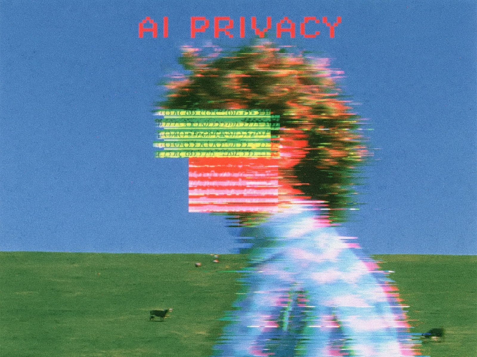 Glitched photo of a person in a green field under a blue sky, their face hidden behind blocks of scrambled digital text, with the words AI Privacy in red pixel type
