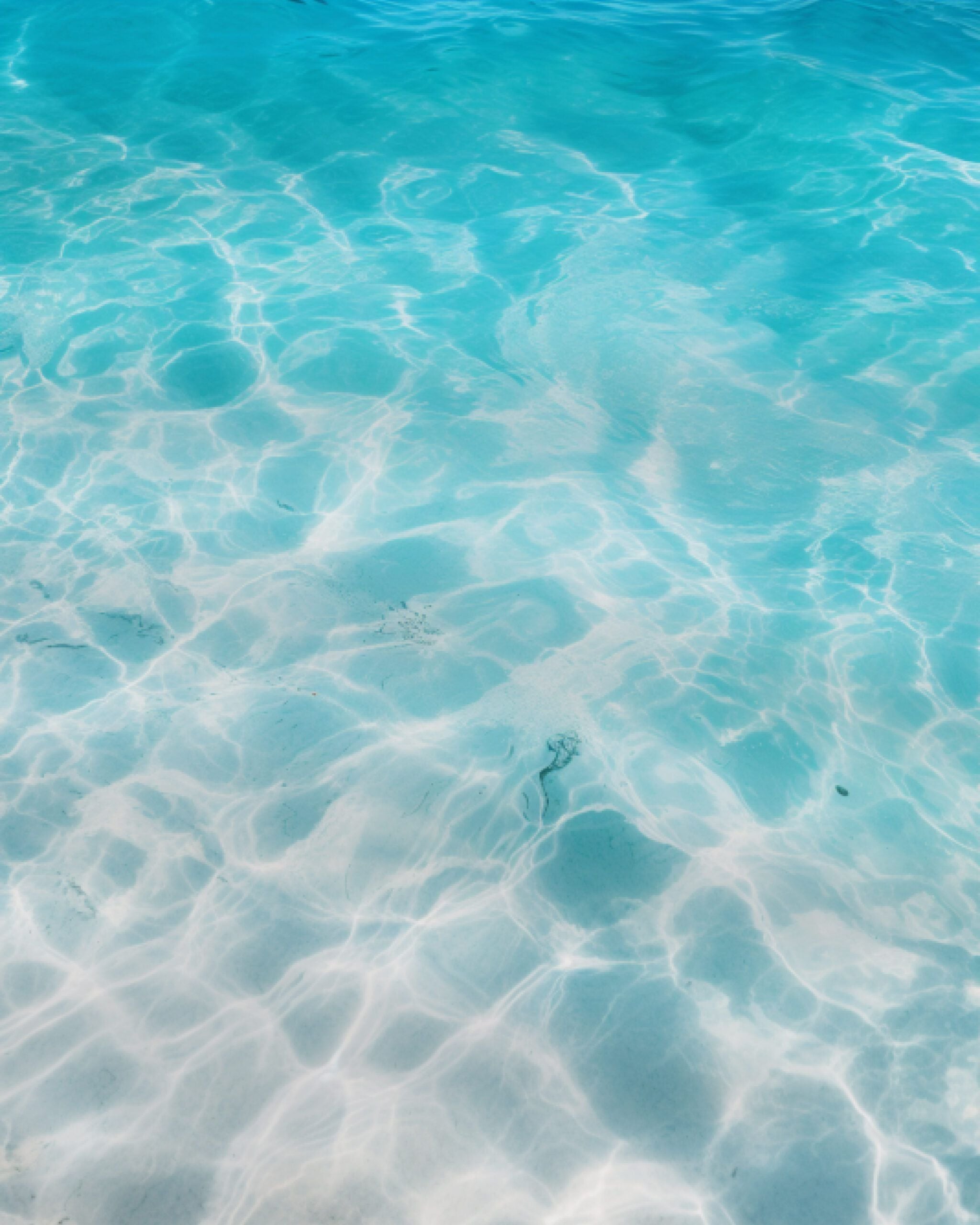 MojoSurf — project background