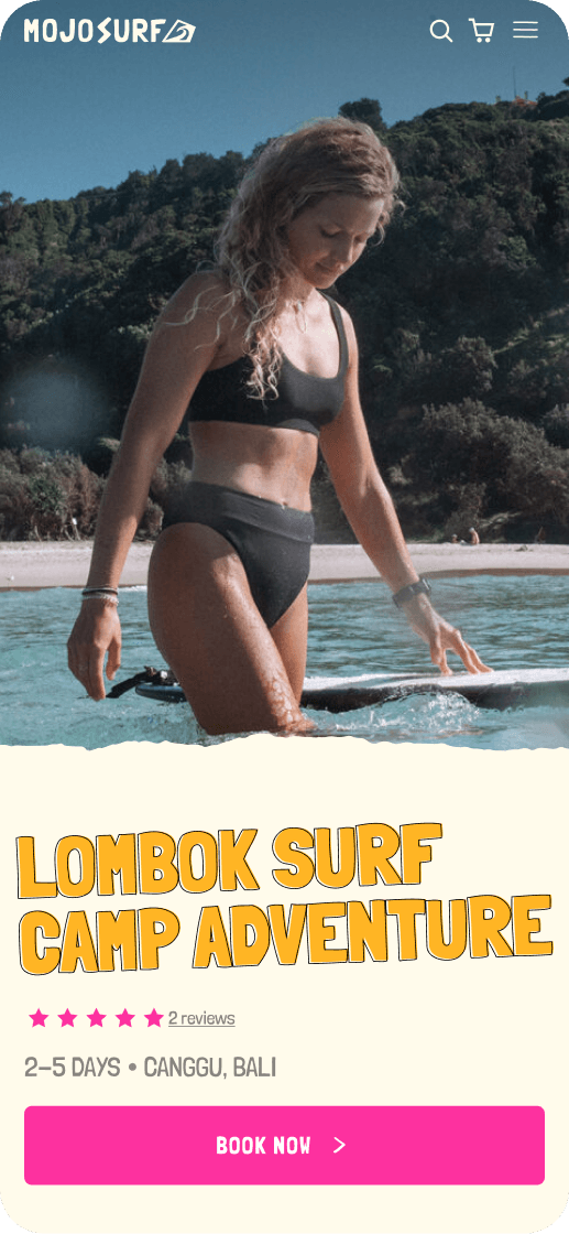 MojoSurf — interface mockup